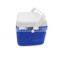 Wholesale Outdoor Camping Mini Plastic 5L Medical Cooler Box
