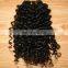 venezuela alibaba express quality products soft natural raw virgin Venezuela 100% Remy natural wave Venezuela hair