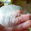Plant Supply Agricultural anti-bird net / Invisible Anti bird net / Garden Vineyard bird netting