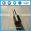 DSLA156P736 Nozzle 0433175163 Fuel Injector Nozzle DSLA156P736 With Lowest Price