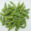 Frozen whole edamame,Frozen soy beans(HACCP,ISO22000,BRC,HALAL)