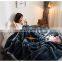 Wholesale autumn and winter new thick double-layer student nap Raschel blanket