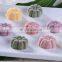 Automatic mochi encrusting machine/coxinha machine/coxinha making machine