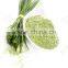 Best Quality Wheat Grass Powder For Sales And Export
