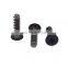 Shining surface cheese flat head screw for mobile phone screw
