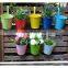 Wholesale Home Decorative Outdoor Garden Metal Plastic Planter Hanging Flower Pots with detachable hook