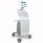 Standing Liposuction Belly Fat Reducing Hifu Body Slimming Machine For Beauty Salon