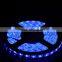 Epistar chip 60 led SMD 5050 LED Strip DC12V / 24V 5050 LED Strip