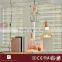 CASAMOTION Modern Hand Blown Art Glass 1 Light LED Plug-in Pendant Light Ceiling Lamp