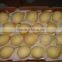 2015 Crop Chinese Fresh Ya Pear in Hot Sale