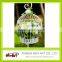 White Color Metal Bird Cages Birdcage Wedding Favor Box