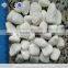 Tumbled Pure White Pebble Stone