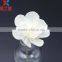 sola flower on wired stems sola flower diffuser in glass bottle