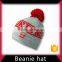 High quality knitted beanie hat manufacturer