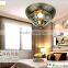 Modern LED Ceiling Lights 220V/110V Living Room Ceiling Lamps