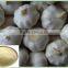 Natural Garlic Extract /Alliin 2%-5% HPLC                        
                                                Quality Choice