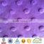 Warm Keeping Winter Minky Dot Signature Blankets