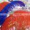 colored ostrich feathers