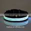 Brazil Distributor Pet Dog Lead Product Flashing LED Dog Collars