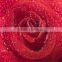 Handmade Red Rose Decoration Fusing Float Glass Factory In China