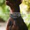AGPS, TTFF in 30 seconds Pet GPS Tracker Dog collar small gps animal tracker/cat tracking system gps gsm