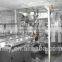 ZXJ15 Automatic Case Packer Of Packing Machine