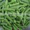 New crops IQF Frozen long beans cut