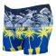Domi Stock Cheapest Many Patterns Swimwear Men Swimming Boxer Shorts