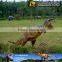 MY Dino-C026 Custom-made dinosaur model life size