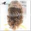 Synthetic hair wig /human hair wig for black women