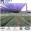50%,60%,70% Shade Rate,Shade Net for Agriculture,Greenhouse Protection