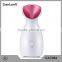 Healthy Facial Care Mini Sprayer Ion Skin Care Nano Ion Platinum Facial Steamer