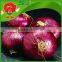 Wholesale Fresh Onion/Yellow Red Onion Exporters in China Onions in Bulk