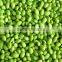 DPL-300 Bean Sheller Equipment Mung /Green Beans Peeling / Dehusk Machine with CE