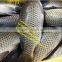 fish scaler machine/fish knife fish scaler