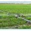 China Soft water hose Flexible Micro Drip Irrgation Flat PE Hose