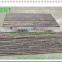 ZENT-139 Small bamboo poles fence