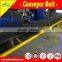 Professional belt conveyor manufacturer