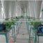 500TPD turnkey automatic steel frame structure flour mill plant