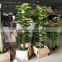 decorative artificial plants green plants wholesale
