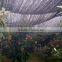 black shade net for greenhouse