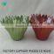 Glass plate flowers with cheap price