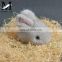 2016 Popular Lovely Rabbit Accessory or Gift Charm Mink Rabbit Keychain