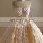 Real Photo Silver Wedding Dress Heavy Lace Wedding Gown