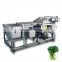 Industrial green vegetable washing machine fruit & vegetable washer with factory price