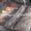 Automatic Fruit and Vegetable Washer Fruit Lettuce Cabbage Bubble Washing Machine