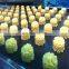 PLC control system cookie maker machine cookie forming machine