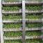 Best quality good automatic green barley hydroponic fodder machine