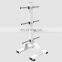 Commercial Body Building Machine Precor Seated Calf in Gym Equipment