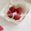 2021 Hot Selling Soy Wax Cute Strawberry Scented Candles Party Candle